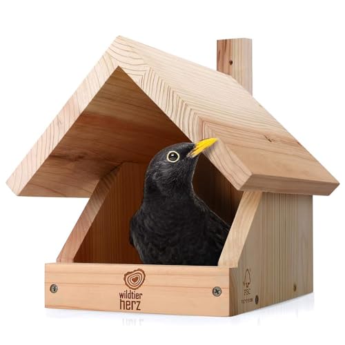 wildtier herz I Amsel Nistkasten aus verschraubtem Massiv-Holz - 25 x 28.5 x 27 cm, Wetterfest & Unbehandelt, Vogelhaus für Halbhöhlenbrüter, Halbhöhle für Amseln, Rotkehlchen & Co. von wildtier herz