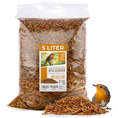 Wildtier Herz Mehlwürmer Getrocknet für Gartenvögel und Igel - 5 L Vogelfutter für Rotkehlchen und Wildvögel - Proteinreiches Igelfutter - Ganzjähriges Vogelfutter für Gesunde Ernährung von wildtier herz