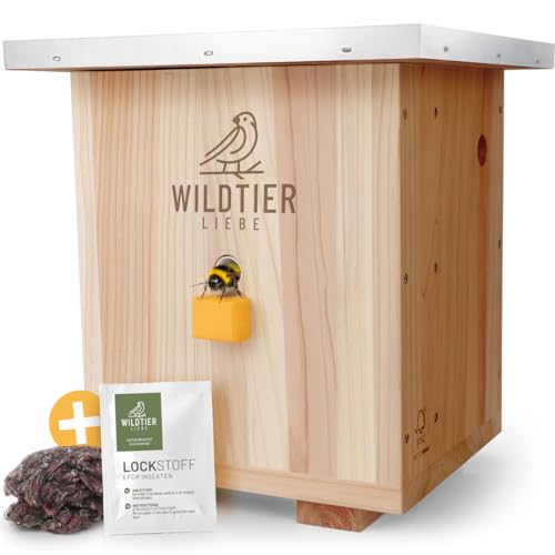 wildtier liebe Großes Hummelhaus Natur I Geschraubtes Massivholz, Set - inkl. Lockstoff & Nistmaterial I Hummelhotel, Insektenhotel, Hummelkasten, Hummeln, Bienenhaus, Hummelnest, Hummelkiste von wildtier liebe