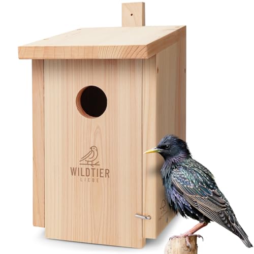 wildtier liebe Starenkasten Großer Nistkasten für Stare - Vogelhaus Nistkasten für Star aus Unbehandeltem Massiv-Holz, Starennistkasten Wetterfest und Artgerecht nach NABU von wildtier liebe