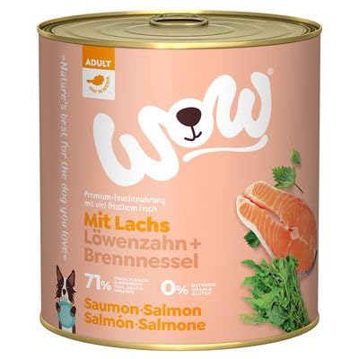 WOW Hundefutter nass Adult mit Lachs, 6X 800g I reichhaltiges Nassfutter für ausgewachsene Hunde Aller Rassen I Beste Qualität mit viel Fisch, Löwenzahn & Brennnessel I hohe Verträglichkeit von wow