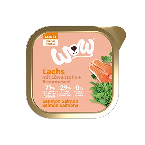 WOW Hundefutter nass Adult mit Lachs, 11x 150g I reichhaltiges Nassfutter für ausgewachsene Hunde aller Rassen I beste Qualität mit viel Fisch, Löwenzahn & Brennnessel I hohe Verträglichkeit von wow