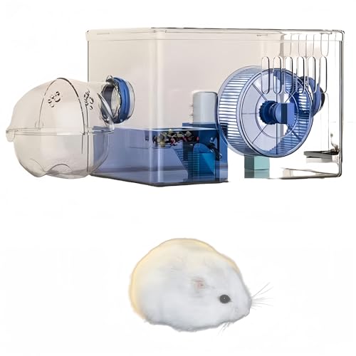 Hamsterkäfig, Hamster-Zwergkäfig, transparenter Kleintierkäfig, Acryl-Hamsterkäfig, Goldener Bär, spezielle extra große Zuchtbox, kann für DIY-Hamsterkäfig verwendet Werden(Blau,31 * 21 * 20.5cm) von woxefo