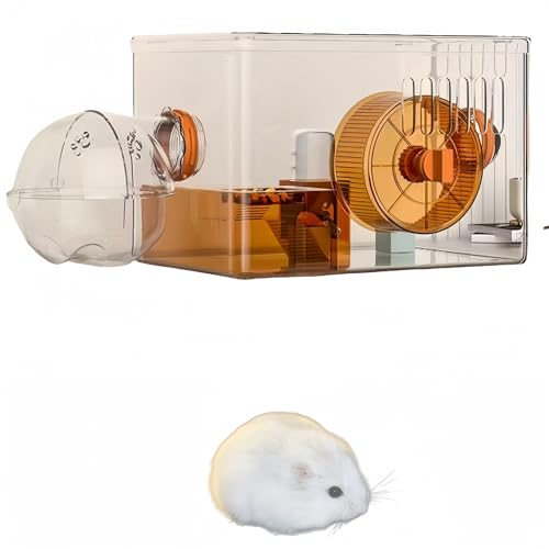 Hamsterkäfig, Hamster-Zwergkäfig, transparenter Kleintierkäfig, Acryl-Hamsterkäfig, Goldener Bär, spezielle extra große Zuchtbox, kann für DIY-Hamsterkäfig verwendet Werden(Braun,31 * 21 * 20.5cm) von woxefo