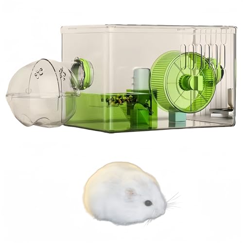 Hamsterkäfig, Hamster-Zwergkäfig, transparenter Kleintierkäfig, Acryl-Hamsterkäfig, Goldener Bär, spezielle extra große Zuchtbox, kann für DIY-Hamsterkäfig verwendet Werden(Grün,31 * 21 * 20.5cm) von woxefo