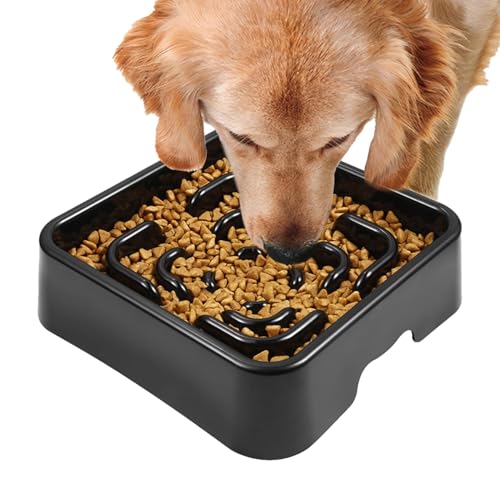 wqibq Langsamer Fressnapf für Hunde,Langsamer Fressnapf für Hunde - Slow Feeder Bowl für Schnellfresser,Rutschfeste, spülmaschinenfeste Maze-Hundeschalen in Lebensmittelqualität für schnelle Esser und von wqibq