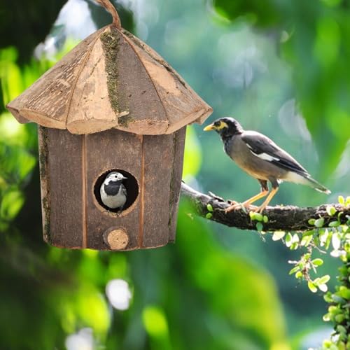 wqibq Nistkasten für den Garten, wasserdicht, Vogelhaus aus Holz, für den Außenbereich, auf Standfuß, dekorativ, wasserdicht, Vogel von wqibq