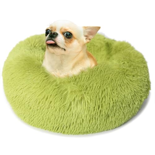 Grüne Hundebetten für kleine Hunde, klein, flauschig, für extra kleine Hunde, 38,1 cm, Donut-weiches kleines Haustierbett, beruhigend, Anti-Angst, rund, passend für bis zu 2,3 kg, warmer Komfort, von wrkfree
