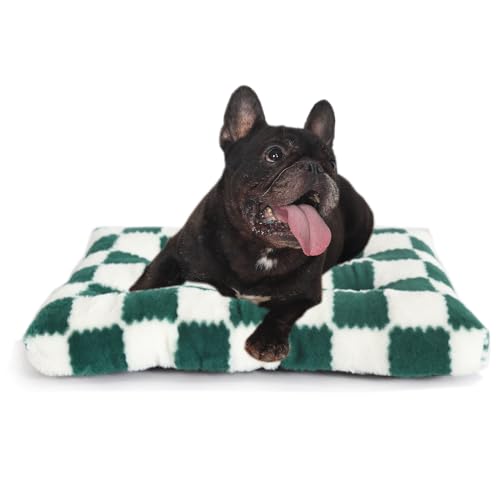 Kleines Hundebett für Hundekäfige, 61 x 45 cm, waschbar, 61 cm, mit rutschfester Unterseite, bequeme Jacquard-Plüsch-Hundehütte für kleine Hunderassen, Haustier-Schlafmatte, grün kariert von wrkfree