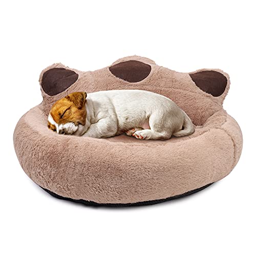 wuuhoo® Hundebett, Katzenbett Tapsy für Hunde und Katzen - weiches Haustierbett waschbar, Hundekörbchen, Katzenkorb für Haustiere M 55 cm (Liegefläche 40 x 34 cm) von wuuhoo