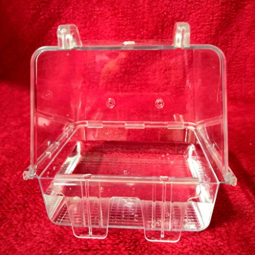 xbiez Vogel Badezimmer Futterbox Transparentes Acryl Für Papageien Sittiche Lovebirds Badewanne Papageienspielzeug Graupapageien Für Kleine Papageien Für Große Vögel Sittiche Aras Set Großes von xbiez