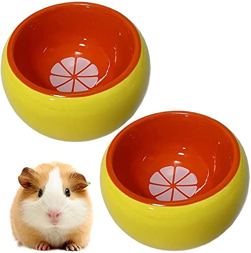 xingzhi 2 Stück Hamster-Futterschüssel, kleine Tiere, Keramik, Wassernapf für Meerschweinchen, Ratten, Igel, Kaninchen, Rennmäuse, Nagetiere von xingzhi
