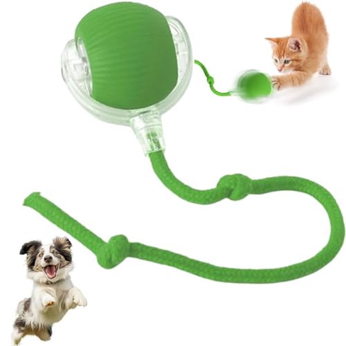 xinrongda Interaktives Katzenspielzeug Elektrisch, Intelligentes Katzenspielzeug mit Schwanz, Wiederaufladbar über USB, Smart Automatisch Rollender Ball für Katzen und Hunde, Grün von xinrongda