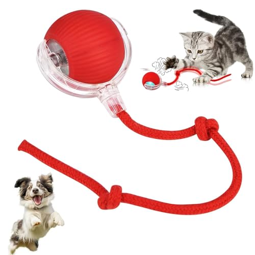 xinrongda Interaktives Katzenspielzeug Elektrisch, Intelligentes Katzenspielzeug mit Schwanz, Wiederaufladbar über USB, Smart Automatisch Rollender Ball für Katzen und Hunde, Rot von xinrongda