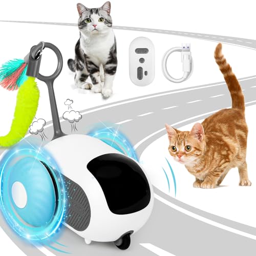 xinrongda Katzenspielzeug Selbstbeschäftigung, Interaktives Katzenspielzeug, Katzenspielzeug Elektrisch, Smartyflip katzenspielzeug, Intelligentes USB Wiederaufladbarer Katzenspielzeug, Blau von xinrongda