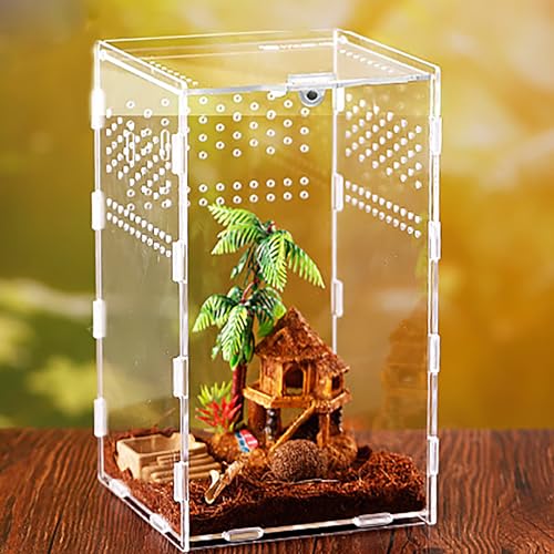 xixibuy Spinnen Terrarium, Reptile Terrarium Box, Portable Habitat for Reptiles and Amphibians, Suitable for Spiders, Lizards, Frogs, Scorpions, Barbecues, Geckos(Acryl-12 * 12 * 20cm) von xixibuy