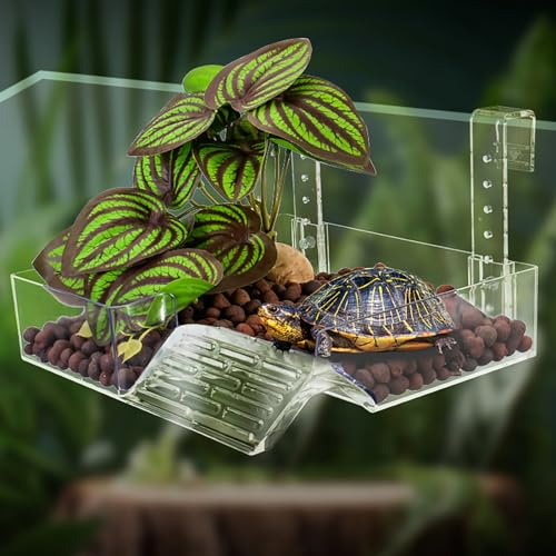 xixibuy Turtle Dock Floating, Schildkröten Terrarium für Schildkrötenliebhaber, Schildkröte Insel, Schildkröten plattform, Kletterplattform mit simulierter Begrünung(GRÖSSE : M) von xixibuy