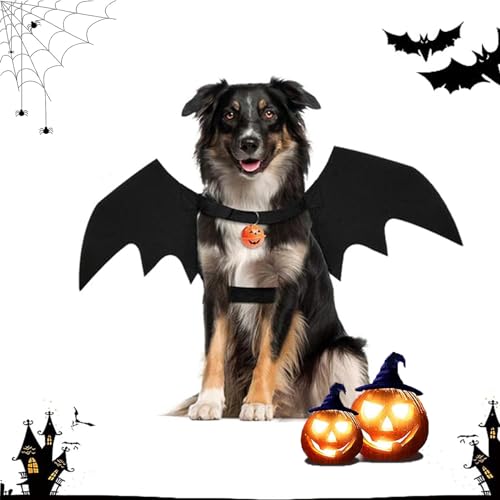 Fledermaus Kostüm Hund Hunde Party, xlwen 1 Pcs Haustier Fledermausflügel Gepaart mit hängenden Kürbisglocken,Halloween-Hunde-Fledermausflügel Perfekt für tägliche Partys, Halloween, Weihnachten. von xlwen