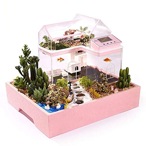 n/a Kreatives Aquarium Kleines Aquarium Ökologische Heimdekoration Kind Kind DIY Sukkulenten Prinzessin Prinz Hausgarten von xnvdojt