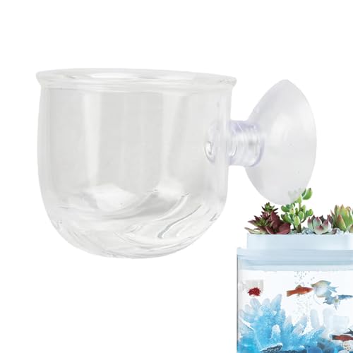 xowwyue Aquarium Live Red Worm Feeder, Aquarium Blutwurm Feeder,Salzwassergarnelen lebende Pflanzen Aquariumhalter - Pflanzenbecher aus Glas für lebende Pflanzen, Fischfutterspender mit starker von xowwyue