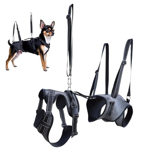 xowwyue Ganzkörper-Hundegurtsystem - Hunde-Hebehilfe Mit Griffen,Verstellbare Tragehilfe & Stützkorsett für Rehabilitationstraining, Erholung und ältere Hunde mit eingeschränkter xowwyue Ganzkörper-Hundegurtsystem - Hunde-Hebehilfe Mit Griffen,Verstellbare Tragehilfe & Stützkorsett für Rehabilitationstraining, Erholung und ältere Hunde mit eingeschränkter von xowwyue
