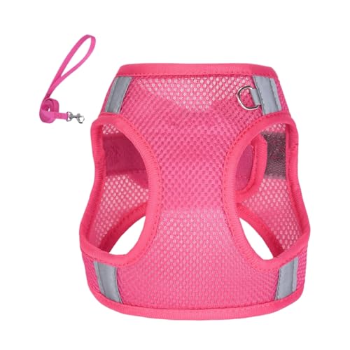xowwyue Hundegeschirr Weste, kein Ziehen, Geschirr und Seil-Set für Welpen, Haustier-Trainingsbedarf, einfache Kontrolle, Traktionsseil für Einkaufen, Outdoor-Aktivitäten, xowwyue Hundegeschirr Weste, kein Ziehen, Geschirr und Seil-Set für Welpen, Haustier-Trainingsbedarf, einfache Kontrolle, Traktionsseil für Einkaufen, Outdoor-Aktivitäten, von xowwyue