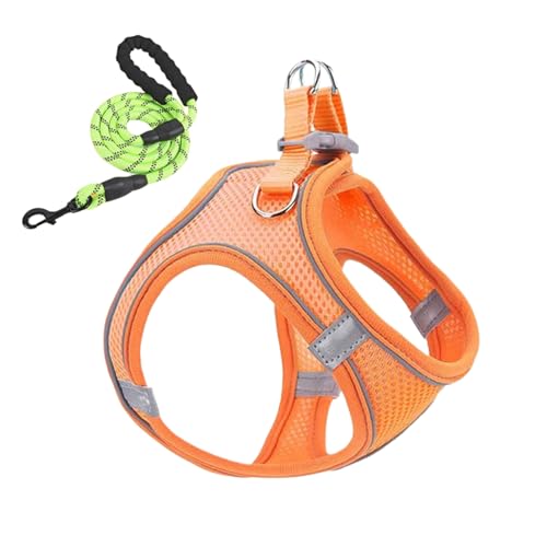 xowwyue Katzengeschirr und Leinenset - Anti-Zug Geschirr Mit Leine,Atmungsaktiv Reflektierendes Westengeschirr Für Hunde Welpen Katzen Wandern Tierarzt Training Autoreise Camping Ausflüge xowwyue Katzengeschirr und Leinenset - Anti-Zug Geschirr Mit Leine,Atmungsaktiv Reflektierendes Westengeschirr Für Hunde Welpen Katzen Wandern Tierarzt Training Autoreise Camping Ausflüge von xowwyue
