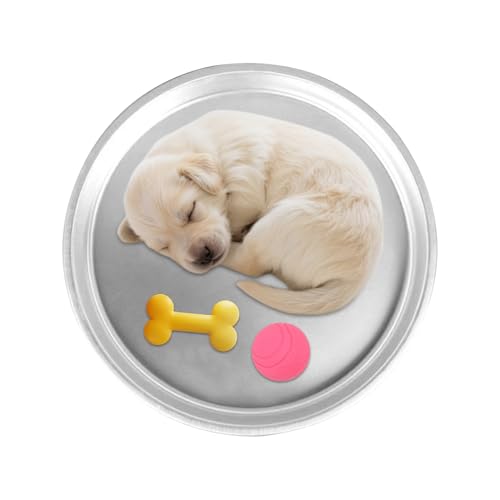 xowwyue Kühlhundebett | 40 cm Alu-Kühlelement für Katzen | rutschfest tragbar waschbar für heiße drinnen draußen Boden xowwyue Kühlhundebett | 40 cm Alu-Kühlelement für Katzen | rutschfest tragbar waschbar für heiße drinnen draußen Boden von xowwyue