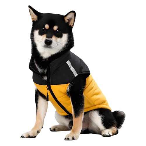 xowwyue Winter-Hundekleidung – Rollkragen-Hundejacke, winddicht, Hundeweste, warme Rollkragen-Hundejacke, dick für Haustierausflüge und Spaziergänge von xowwyue