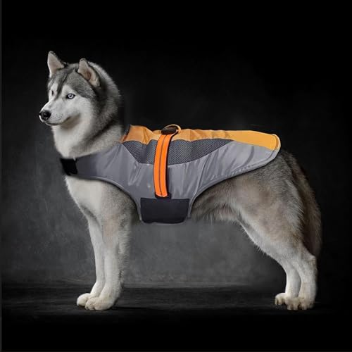 Wintermantel für Hunde, warme und winddichte Jacke für Hunde, Skijacke für Hunde mit LED-Licht, Winterweste für Hunde, verstellbare Größe, geeignet für kleine mittelgroße und große Hunde (L) von xuehaostore