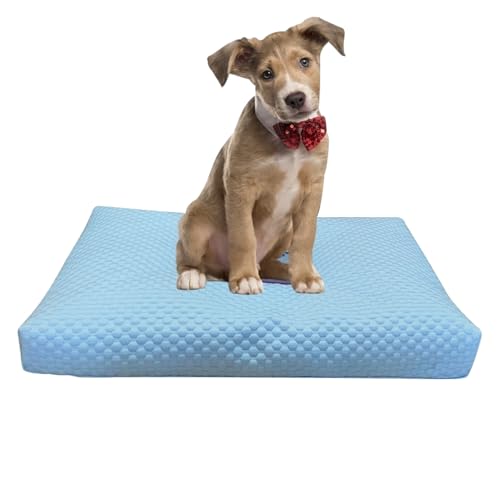 yakermur Hundebett Bezüge Waschbar | Kühlende Haustier Bettwäsche - Abnehmbare Schicht Reduzierend - Innen Außen Bereich yakermur Hundebett Bezüge Waschbar | Kühlende Haustier Bettwäsche - Abnehmbare Schicht Reduzierend - Innen Außen Bereich von yakermur