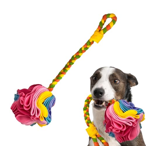 yakermur Schnüffelball Für Hunde | Spielzeug Zur Futtersuche,Leckerli Spielzeug Für Hunde - Gegen Langeweile Apportieren Schnüffel Spielzeit Draußen Drinnen yakermur Schnüffelball Für Hunde | Spielzeug Zur Futtersuche,Leckerli Spielzeug Für Hunde - Gegen Langeweile Apportieren Schnüffel Spielzeit Draußen Drinnen von yakermur