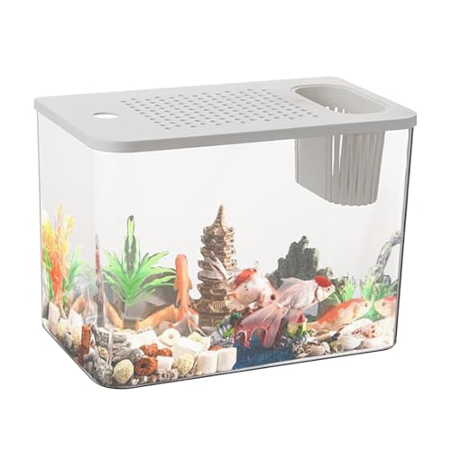 Betta Aquarium, Aquarium-Starter-Sets – Transparente Aquarienschalen, Kleine Aquarien, Kompaktes Aquarium, Dekoration Für Die Fischlandschaft von yanzisura