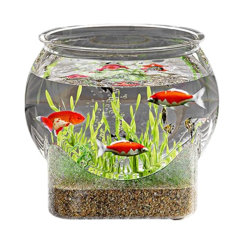 Betta Fish Aquarium – Rundes Glasbecken für Betta, kleines dekoratives Aquarium für Fische mit Filter, Desktop-Tank für Büro und Zuhause, Blumenvase, Mittelstück für Schildkröte Betta Fish Aquarium – Rundes Glasbecken für Betta, kleines dekoratives Aquarium für Fische mit Filter, Desktop-Tank für Büro und Zuhause, Blumenvase, Mittelstück für Schildkröte von ycezw