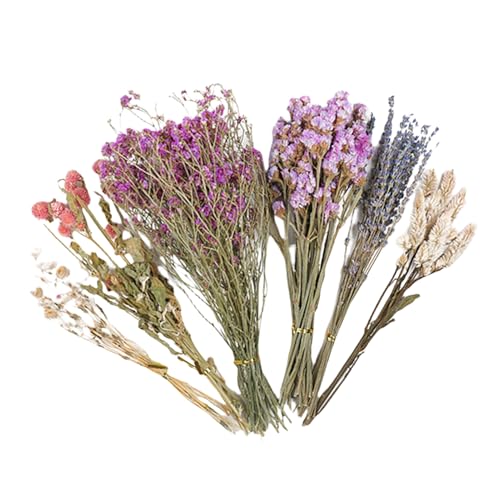 Einstreu für Blumenhamster – natürliche Blumen-infundierte Haustierkäfig-Auskleidung, weiches und gemütliches Nistmaterial, perfekt für Chinchillas, Lemmings, Eichhörnchen, Meerschweinchen, kleine Einstreu für Blumenhamster – natürliche Blumen-infundierte Haustierkäfig-Auskleidung, weiches und gemütliches Nistmaterial, perfekt für Chinchillas, Lemmings, Eichhörnchen, Meerschweinchen, kleine von ycezw