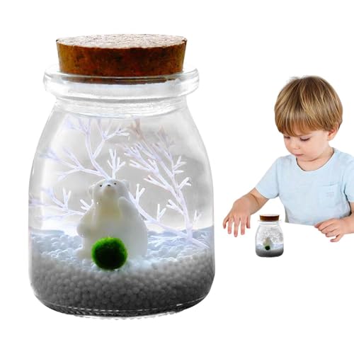 Glas-Terrarium-Behälter – Glas-Terrarium-Vase, Desktop-Garten-Pflanzgefäß-Display | Dekorativer Behälter-Herzstück, Sukkulenten-Präsentationszubehör, Glasgefäß mit Korkdeckel für kleine Pflanzen von ycezw