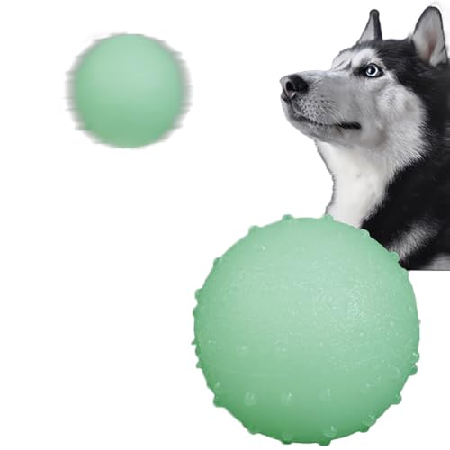 Gummi Hund Beißspielzeug Leuchtend TPR Welpentraining Spielzeug Spaß Hüpfend Kätzchen Spielzeug Ball von yeeplant