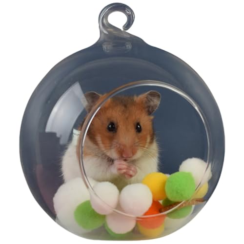 Kugel, transparent, hängend, leicht, tragbar, Glas, Versteck für Hamster, lustige Kugel, Tier, kleines Haustier, Rattenversteck von yeeplant