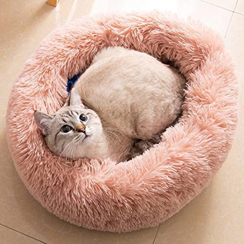 Donut Katzenbett, Kunstplüsch-Hundebetten für mittelgroße und kleine Hunde – selbstwärmendes, rundes Kissen für den Innenbereich, kuscheliges, waschbares Hundebett, Katzenbett, Durchmesser 61 cm von youyoucool