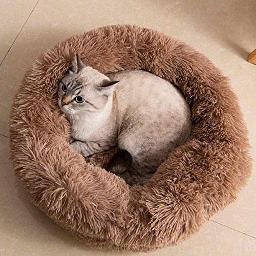 Donut Katzenbett, Kunstplüsch-Hundebetten für mittelgroße und kleine Hunde – selbstwärmendes, rundes Kissen für den Innenbereich, kuscheliges, waschbares Hundebett und Katzenbett Durchmesser 40,6 cm von youyoucool