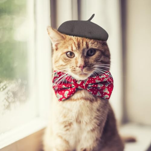 Haustier Katze Beret Kopfbedeckung Zubehör, Entzückende Kostüm Katze Berets Geeignet für Haustier Fotografie Dressing Up Maler, Haustier Kostüme Kopfbedeckung Zubehör (Schwarz, Einheitsgröße) von ywkiyrs