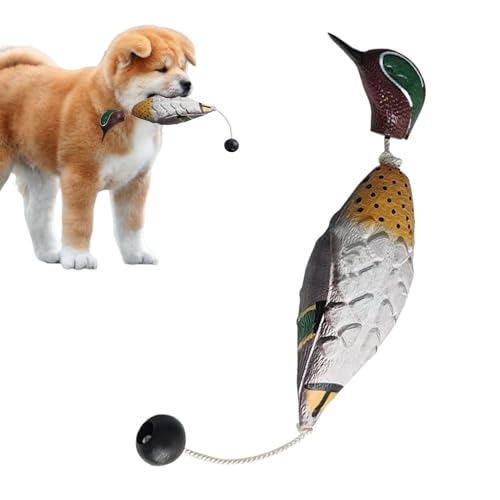 yybng Enten Trainingsspielzeug Für Hunde,Enten-Wildvogel Jagdspielzeug Apportierdummy | Realistische Schwimmende Geflügelattrappen Für Apportiertraining An Seen In Gärten Und yybng Enten Trainingsspielzeug Für Hunde,Enten-Wildvogel Jagdspielzeug Apportierdummy | Realistische Schwimmende Geflügelattrappen Für Apportiertraining An Seen In Gärten Und von yybng