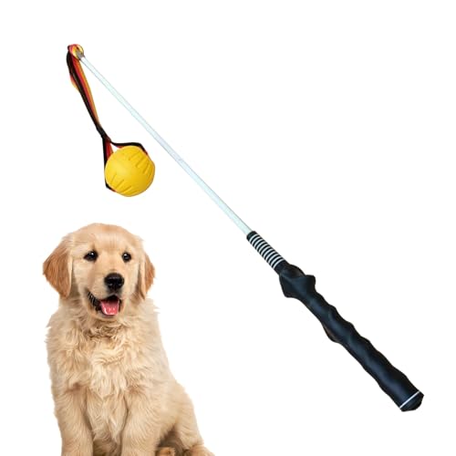 yybng Robustes Flirt Pole,Interaktiver Flirtstab Für Hunde - Interaktives Hundespielzeug Für Zerrspiele Im Freien yybng Robustes Flirt Pole,Interaktiver Flirtstab Für Hunde - Interaktives Hundespielzeug Für Zerrspiele Im Freien von yybng