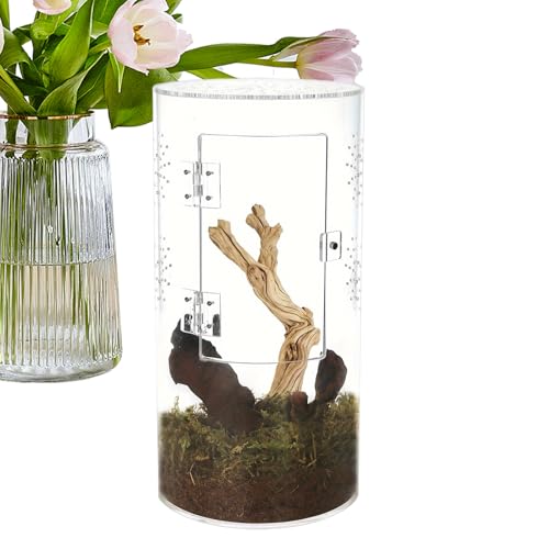 Acrylic Spider Enclosure – Waterproof Small Reptile Tank with Front Opening | Arboreal Habitat Cage for Tarantula, Gecko, Isopods, Compact Transparent Box for Exotic Pet Display or Breeding Acrylic Spider Enclosure – Waterproof Small Reptile Tank with Front Opening | Arboreal Habitat Cage for Tarantula, Gecko, Isopods, Compact Transparent Box for Exotic Pet Display or Breeding von yztju