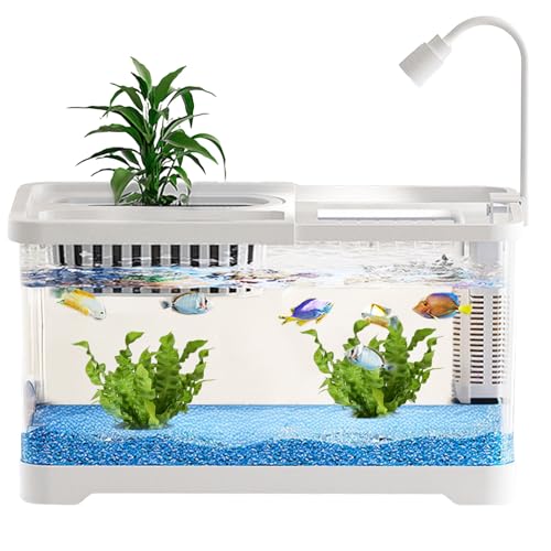 Betta Aquarium,Transparente Betta Aquarien mit Filter - Klare Landschaftsbecken Für Guppys Schnecken Schildkröten Haustierliebhaber Anfänger Schreibtisch Wohnung Betta Aquarium,Transparente Betta Aquarien mit Filter - Klare Landschaftsbecken Für Guppys Schnecken Schildkröten Haustierliebhaber Anfänger Schreibtisch Wohnung von yztju