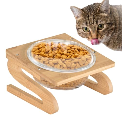 Cat Food Bowl Water – Katze spielt für Futter und Wasser, Spritzer – geschützt, geneigt, geneigt, erhöhte Hündinnen für Hunde für Katzen für Haustiere, Futternäpfe von yztju