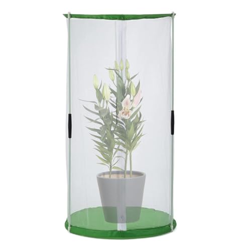 Insektenaufzuchtkäfig - Faltbarer Schmetterlingslebensraum mit Reißverschlusszugang, 11,8x15,7 Zoll Maschengehäuse | Caterpillar Raising Kit für Wissenschaftsstudie, Bildungsschlüftschachtel, Freiluft Insektenaufzuchtkäfig - Faltbarer Schmetterlingslebensraum mit Reißverschlusszugang, 11,8x15,7 Zoll Maschengehäuse | Caterpillar Raising Kit für Wissenschaftsstudie, Bildungsschlüftschachtel, Freiluft von yztju