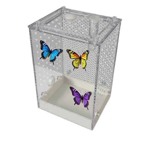 Kleines Terrarium Für Reptilien,Transparentes Insektenheim Für Gottesanbeterinnen | Belüftetes Habitat Für Springspinnen Käfer Schaben Ameisen Gottesanbeterinnen Skorpione Kinder Erwachsene Kleines Terrarium Für Reptilien,Transparentes Insektenheim Für Gottesanbeterinnen | Belüftetes Habitat Für Springspinnen Käfer Schaben Ameisen Gottesanbeterinnen Skorpione Kinder Erwachsene von yztju
