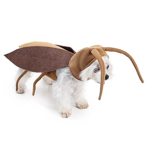 Schaben Kostüm für Katzen - Schaben Flügel und Antennen für Katzen - Atmungsaktives Outfit Für Haustierkätzchen Festtage Partys Kostümierung Schaben Kostüm für Katzen - Schaben Flügel und Antennen für Katzen - Atmungsaktives Outfit Für Haustierkätzchen Festtage Partys Kostümierung von yztju
