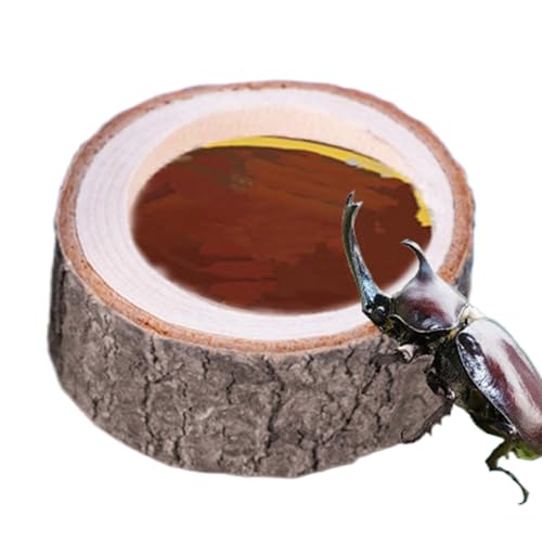 yztju Schildkrötenfuttergericht | Reptilienwasserschale, Portable Holzdesign Aquariumverzierung, der Haustier mit einem reibungslosen Äußeren, dAmphibien Habitatzubehör für Schildkrötenbärtedragon yztju Schildkrötenfuttergericht | Reptilienwasserschale, Portable Holzdesign Aquariumverzierung, der Haustier mit einem reibungslosen Äußeren, dAmphibien Habitatzubehör für Schildkrötenbärtedragon von yztju